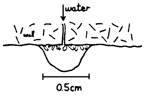 fig.3 - 3k gif