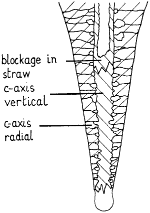 fig.6: 8k gif